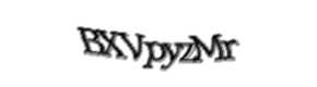 Security check image, please type the characters shown