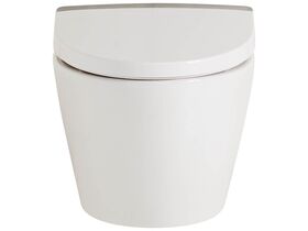 acacia e wall hung toilet