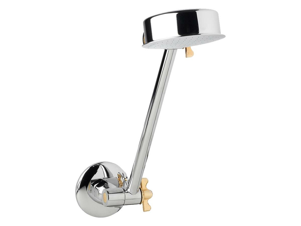 Standard Shower Arm & Rose Chrome/Gold (3 Star) from Reece
