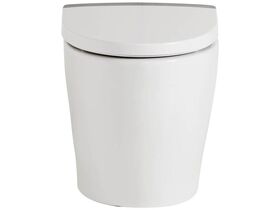 American Standard Acacia E Back to Wall Pan with Soft Close Quick Release Seat White and Chrome Strip (4 Star)