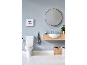Posh Solus Close Coupled Back to Wall Toilet Suite S&P Trap with Soft Close Quick Release Seat White/ Chrome (4 Star)