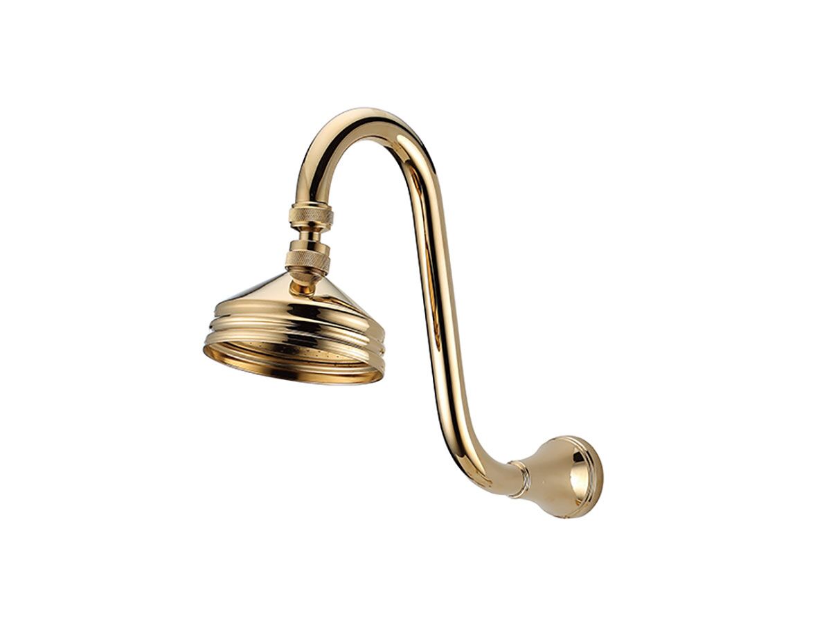 Kado Era Gooseneck Shower Arm & Rose Brass Gold (3 Star) from Reece